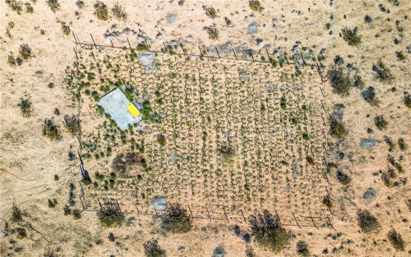 Aerial view of gated area on land