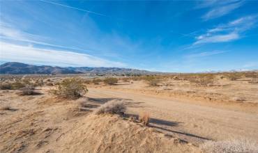 109 Petunia, Joshua Tree, California 92252, ,Land,Buy,109 Petunia,JT24024407