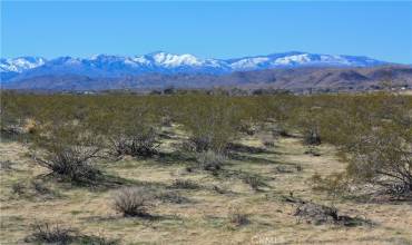 0 29 Palms Hwy, Joshua Tree, California 92252, ,Land,Buy,0 29 Palms Hwy,JT24030995