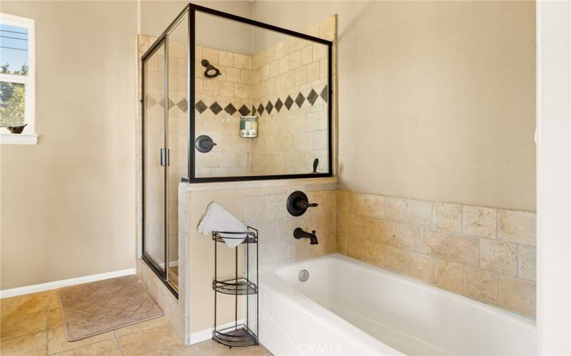 High-end walk-in shower and separate soaking tub