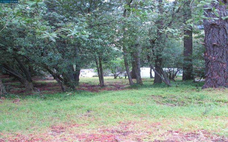 Looking down on the property from the private drive. Down slope lots are easier to develop.