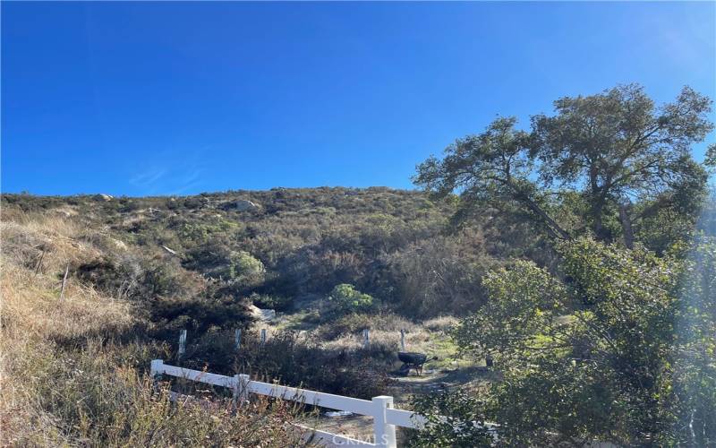 Looking up to part of the property