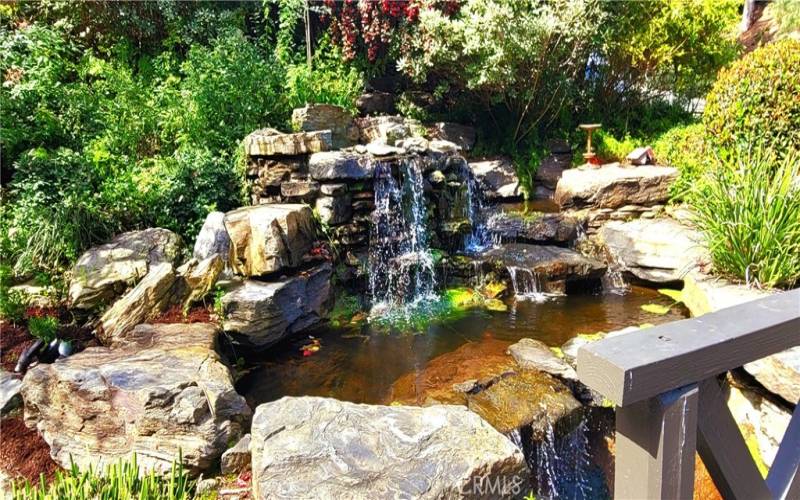 Front yard Waterfall / Pond