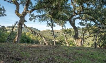 5 Vasquez Trail (Lot 170), Carmel, California 93923, ,Land,Buy,5 Vasquez Trail (Lot 170),ML81935029