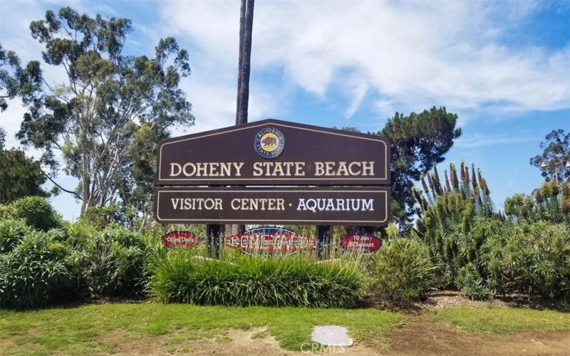 Doheny beach: located just across PCH from South Cove Community.