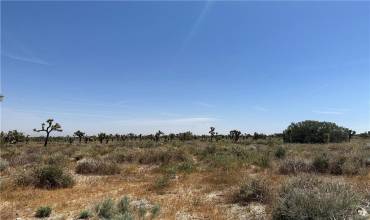 0 Wintergreen Road, Phelan, California 92372, ,Land,Buy,0 Wintergreen Road,CV24032617