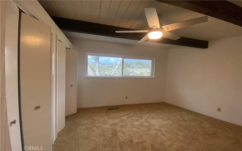 Downstairs Bedroom