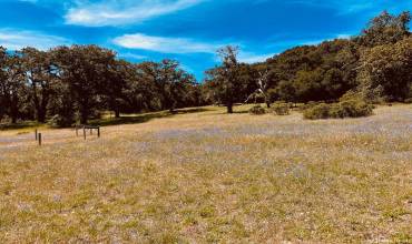 34221 Robinson Canyon Road, Carmel, California 93923, ,Land,Buy,34221 Robinson Canyon Road,ML81896622