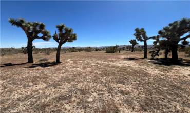 0 Paradise View, Yucca Valley, California 92284, ,Land,Buy,0 Paradise View,DW24033388