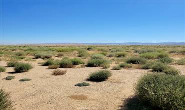 Desert  level land