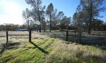 7672 Green Oak Drive, Corning, California 96021, ,Land,Buy,7672 Green Oak Drive,TR23226789