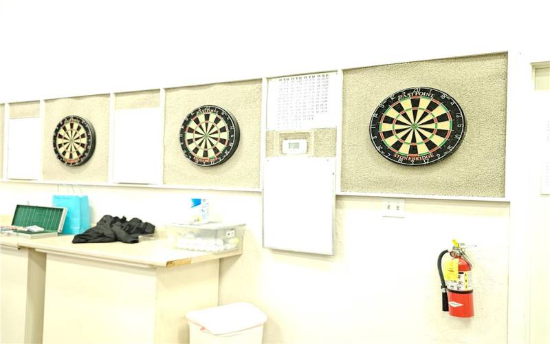 Darts