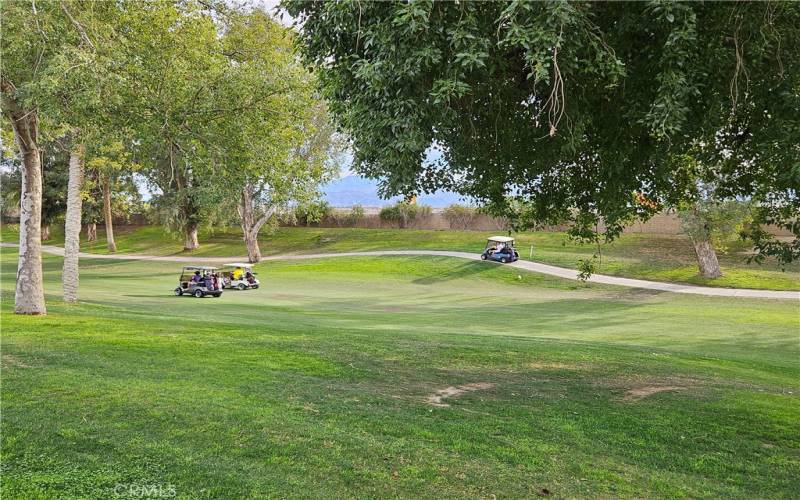 Golf course view from the backyard