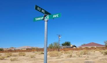 0 Tamarack Avenue, California City, California 93505, ,Land,Buy,0 Tamarack Avenue,CV23142630