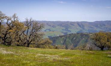 26 Long Ridge Trail, Carmel, California 93923, ,Land,Buy,26 Long Ridge Trail,ML81920853