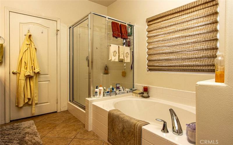 Shower and soaking tub Master bath