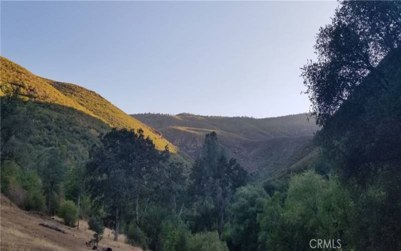 the main homestead, Lyons Gulch looking toward your mountain