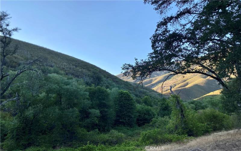 creek way at Lyons Gulch