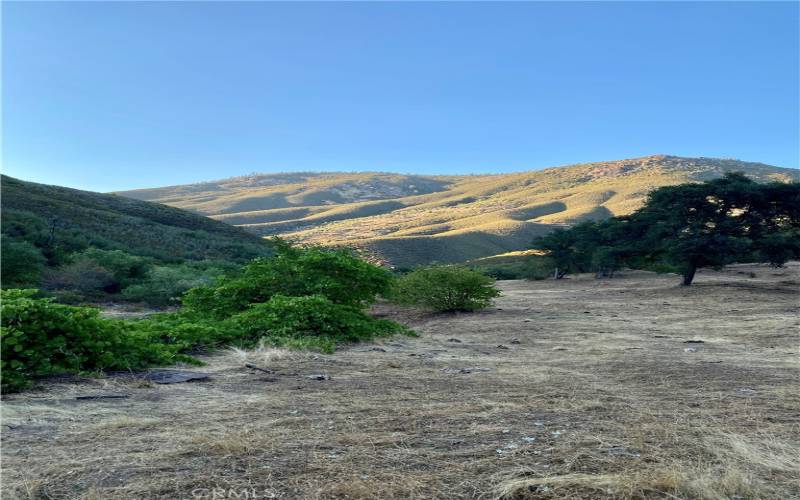 Lyons Gulch homestead