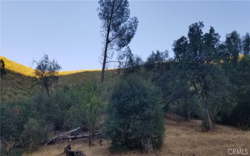 Main homestead looking toward your mountain