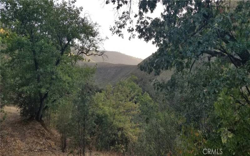 at the homestead looking toward your mountain