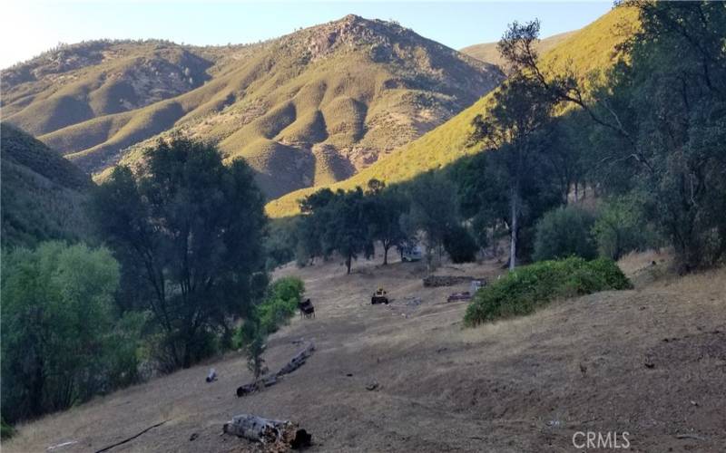 Lyons Gulch homestead