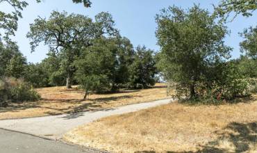 39 Arroyo Sequoia, Carmel, California 93923, ,Land,Buy,39 Arroyo Sequoia,ML81764909