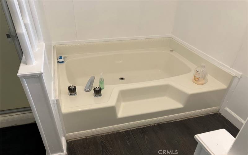 Master Bath Room