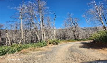 0 Oroville Quincy Hwy, Berry Creek, California 95916, ,Land,Buy,0 Oroville Quincy Hwy,SN23196408