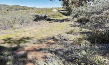 1 Grapevine Ranch Rd, Potrero, California 91963, ,Land,Buy,1 Grapevine Ranch Rd,240004134SD