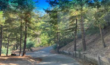 0 Old Logging Road