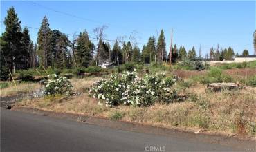 13925 Creston Road, Magalia, California 95954, ,Land,Buy,13925 Creston Road,PA24039088