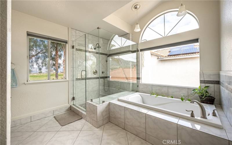 Separate Bathtub and Shower