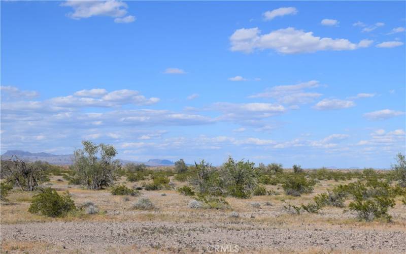 Possibly the Whipple Mountains and BLM land in the distance