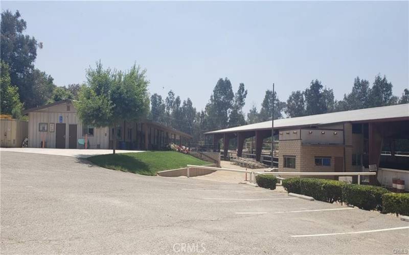 View of Horse Ranch Next Door