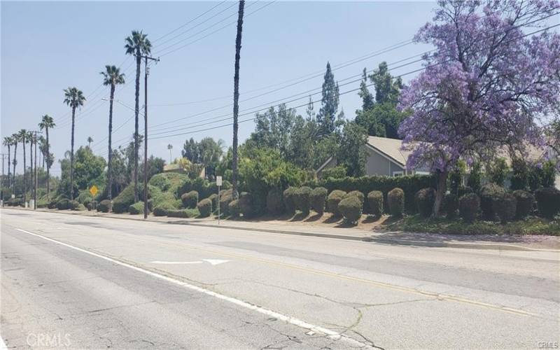 Street view of Washington & Adjacent Housing Tract