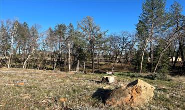 6379 Zuckerman Court, Magalia, California 95954, ,Land,Buy,6379 Zuckerman Court,PA23026636