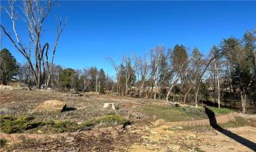 6379 Zuckerman Court, Magalia, California 95954, ,Land,Buy,6379 Zuckerman Court,PA23026636