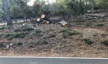 3607 Pine Terrace Drive, Kelseyville, California 95451, ,Land,Buy,3607 Pine Terrace Drive,LC24014247