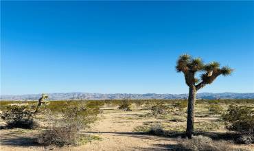 1974 Sunset Road, Joshua Tree, California 92252, ,Land,Buy,1974 Sunset Road,JT24041507