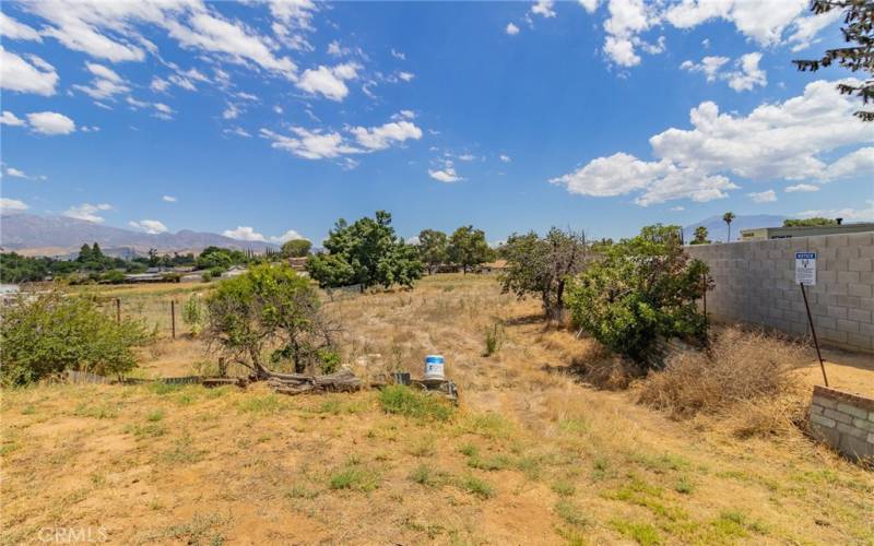 Backyard view of land.