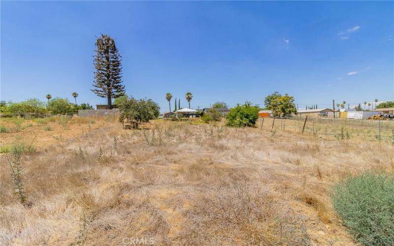 Backyard area/land.