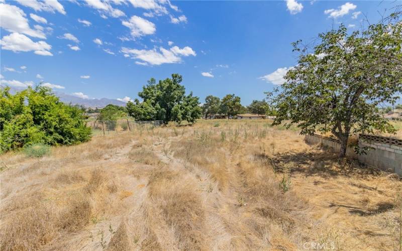 Land view of backyard.