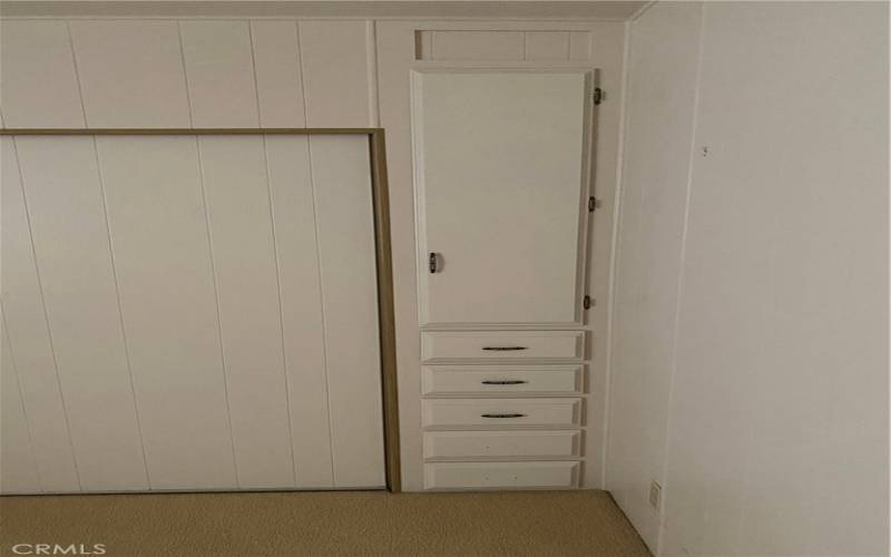 Master closet and built in drawers