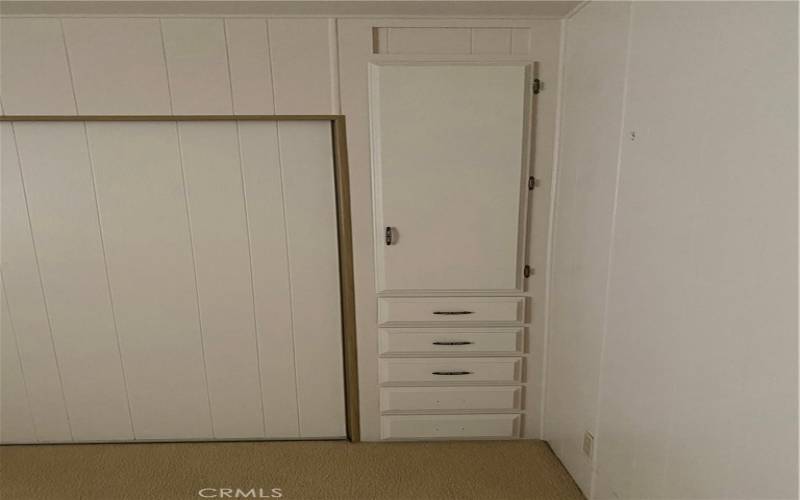 Master closet and built in drawers