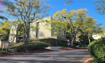 Exterior View 805 Temple Terrace