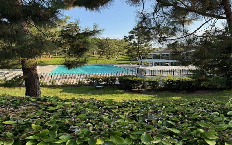 Beautiful Pool & Clubhouse with Community BBQ