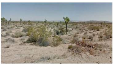 0 Sunny Sands Drive, Yucca Valley, California 92284, ,Land,Buy,0 Sunny Sands Drive,DW24042608