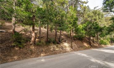 0 Valle, Crestline, California 92325, ,Land,Buy,0 Valle,IV24042681