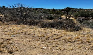 0 Ben Mar, Yucca Valley, California 92284, ,Land,Buy,0 Ben Mar,JT24043607